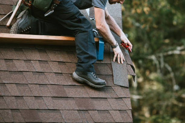 Best Roof Repair Services  in Duquesne, MO
